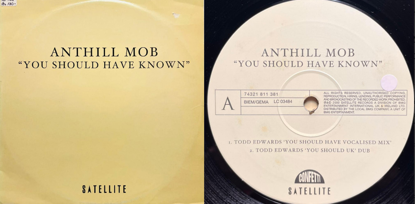 Anthill Mob – You Should Have Known